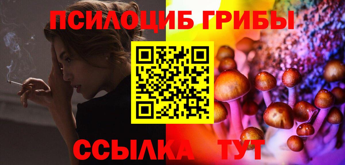 Галлюциногенные грибы Psilocybine cubensis Бирск