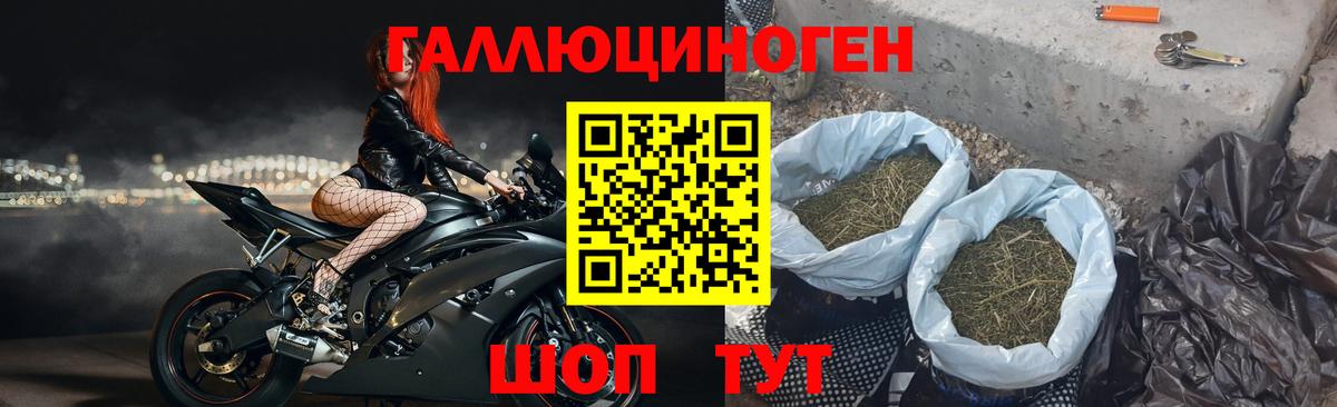 Галлюциногенные грибы прущие грибы  Галлюциногенные грибы мицелий  Вход с VPN  Бирск 
